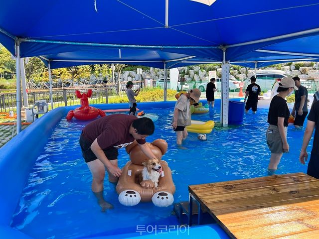 반려동물 물놀이장 /사진-대전시