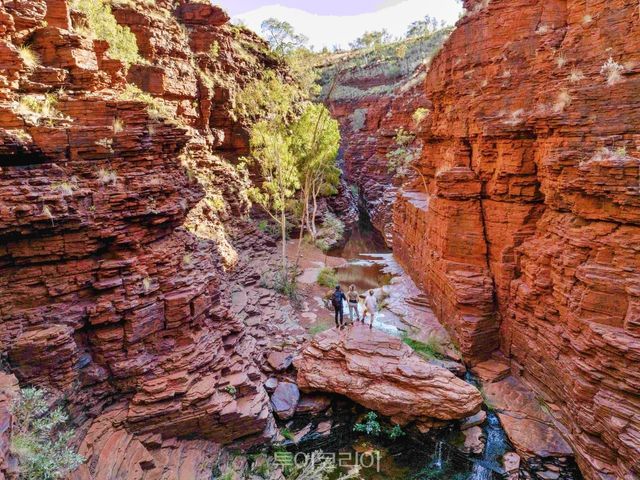 카리지니 국립공원 가이드 투어_서호주 카리지니/사진출처 – 호주관광청