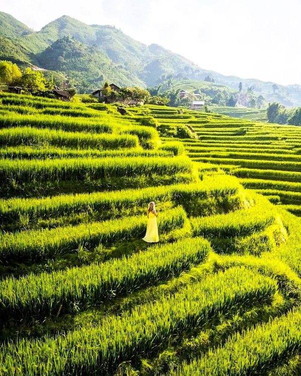 베트남 현지인들 사이에서 다랭이 논으로 유명한 무캉차이