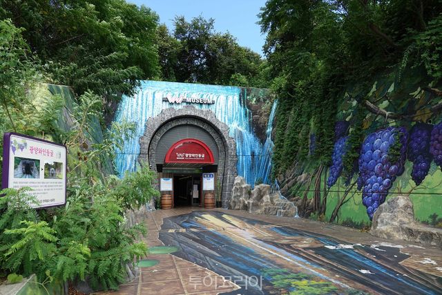 광양부영국제빙상장 와인동굴/사진-광양시