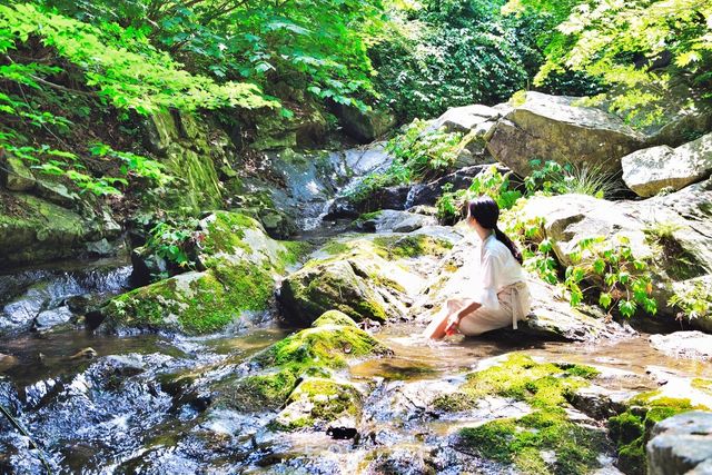 사진-아침고요수목원 계곡 풍경