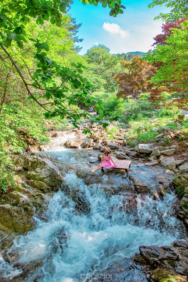 사진-아침고요수목원 계곡 풍경