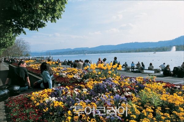 취리히