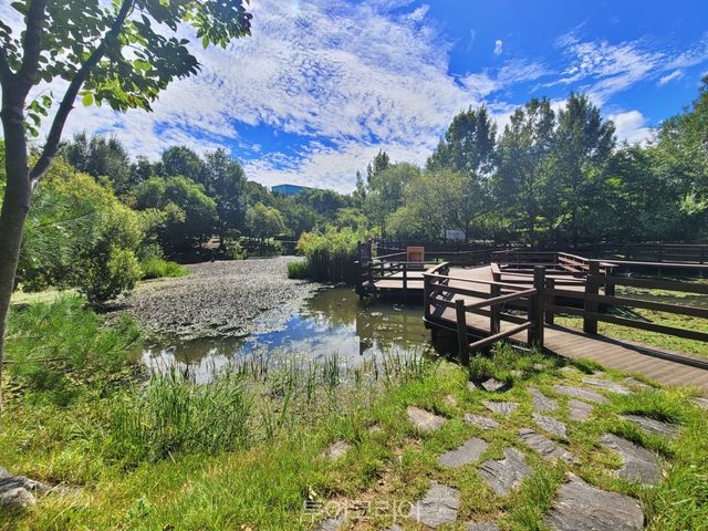 충북 청주 원흥이생태공원 도시숲 /사진-산림청