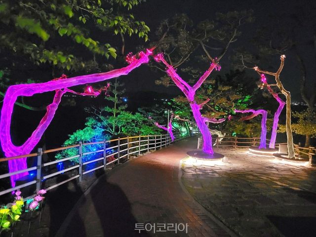 노산 빛공원/사진-사천시