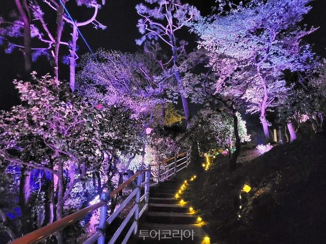 노산 빛공원/사진-사천시