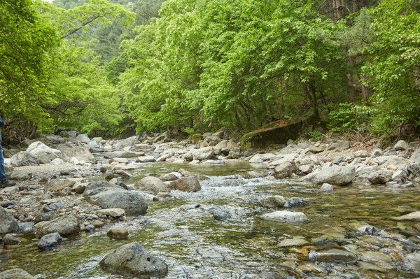지장산계곡 (사진제공=포천시청)