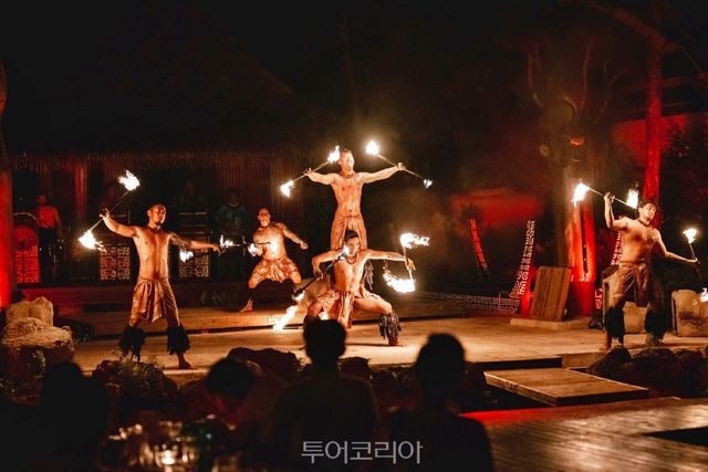 타오타오타씨디너쇼