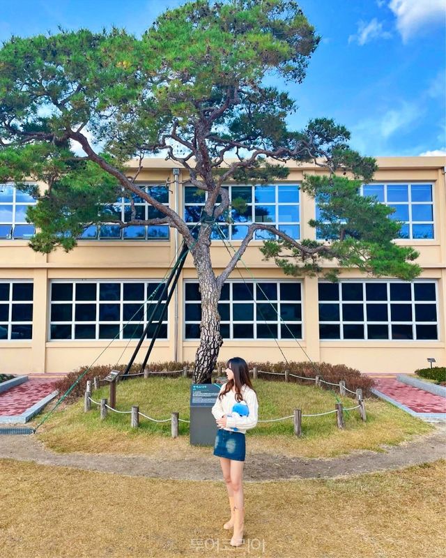 "철도문화공원과 일호광장진주역" "김시민호" "먹거리 가득한 중앙시장과 논개시장" "월아산 숲속의 진주 맨발로숲" "진주 K-기업가정신센터 부자소나무" "진주남강유등전시관" /사진-진주시