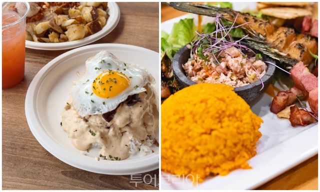 리틀 피카스(좌측), 메스클라 차모로(우측)