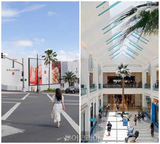 마이크로네시아 돌핀크루즈