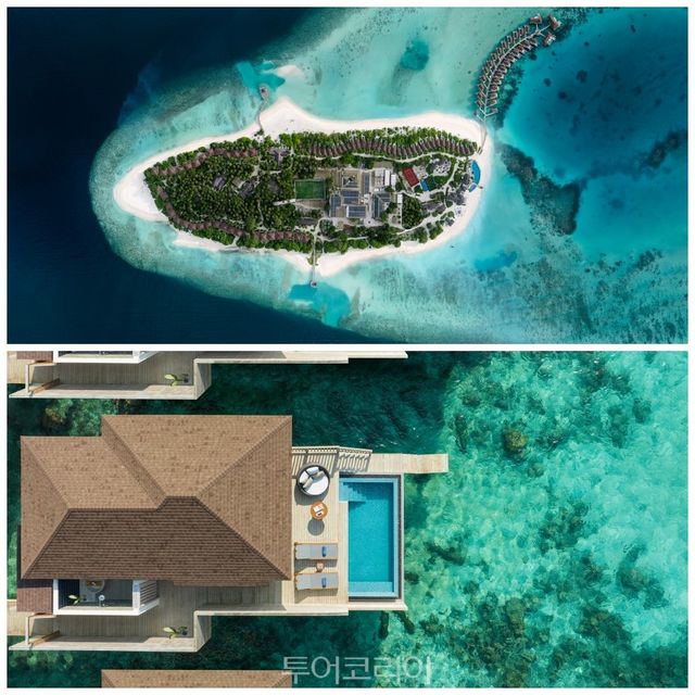 몰디브 '아바니 플러스 파레스' 리조트