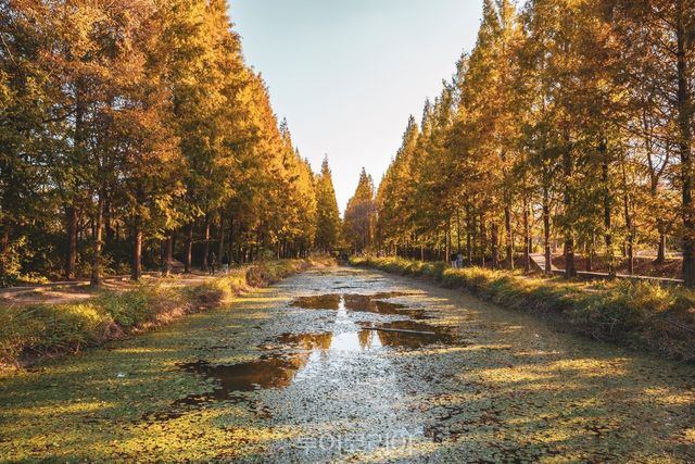 경북천년숲정원 ⓒ한국관광공사 포토코리아-박장용