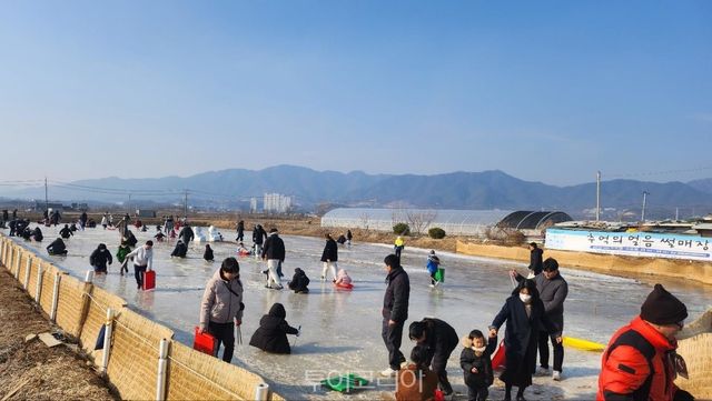 썰매장 전경/사진-제천시