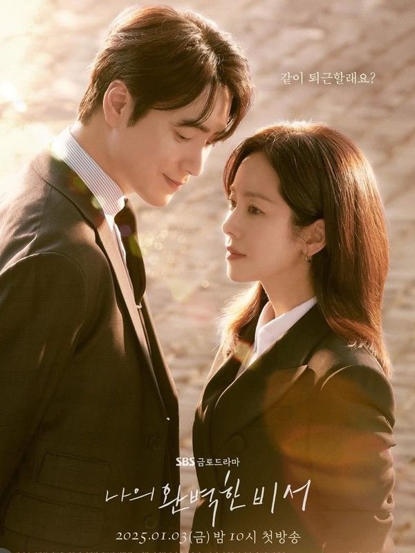 나의 완벽한 비서 포스터