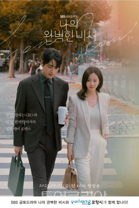 드라마 나의 완벽한 비서 포스터/포항시 제공