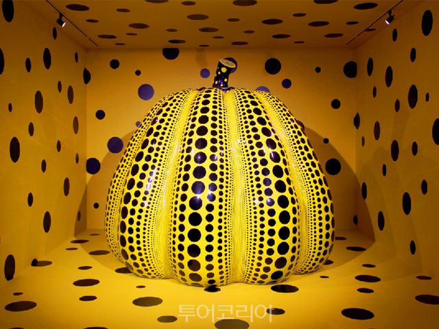 알럭스(R.LUX)가 서울미술관과 협업해 전시전을 선보인다/사진-쿠팡