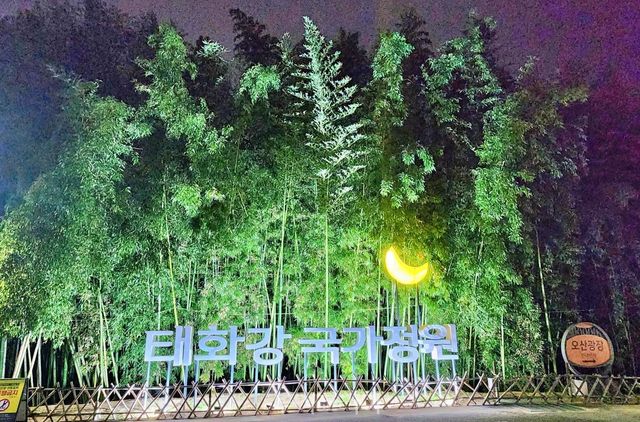 태화강국가정원 십리대숲