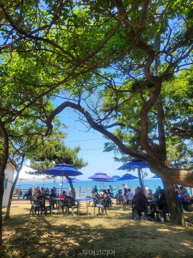 해변 경관그네 해작해작 갯티길 산책 관광 안내지도