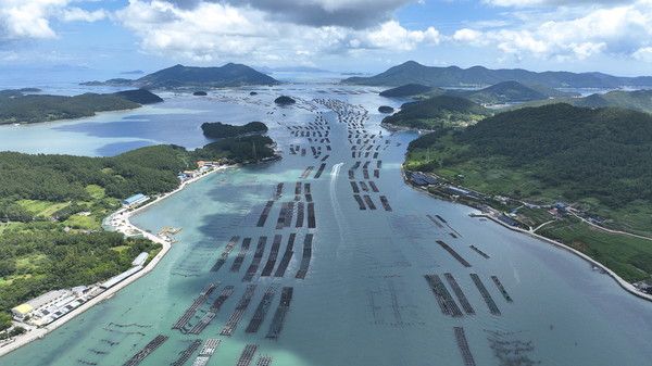 완도 보길면 전복 양식장 전경. /사진-완도군