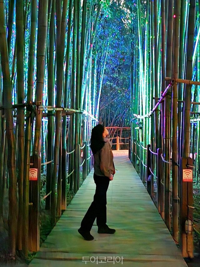 태화강국가정원 십리대숲