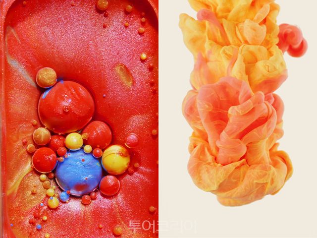 알럭스(R.LUX)가 서울미술관과 협업해 전시전을 선보인다/사진-쿠팡