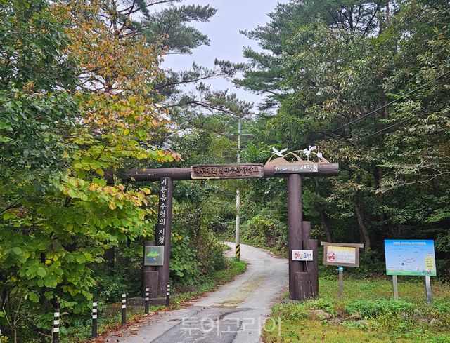 백두대간 생태탐방로 동굴·폭포 체험 탐방로/사진-동해시