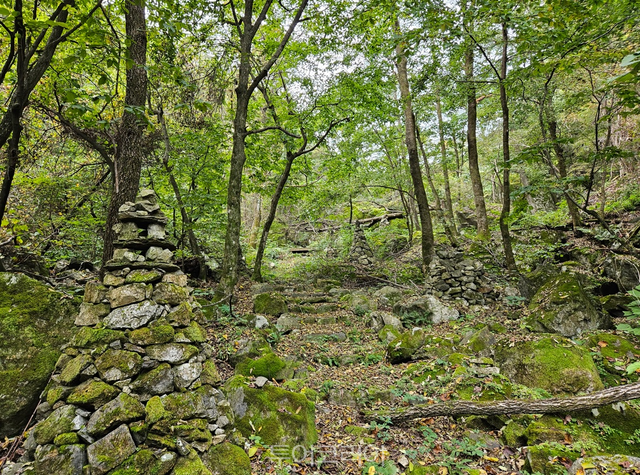 백두대간 생태탐방로 이끼쉼터/사진-동해시