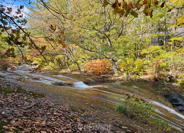 이기령더바지숲길 미역널이
