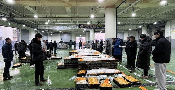 영광군은 양식 참조기 449상자(7톤)를 지난 14일 수협법성위판장에서 출하했다. /사진-영광군