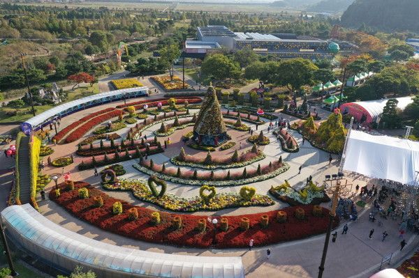 대한민국 국향대전 축제장 전경. /사진-함평군