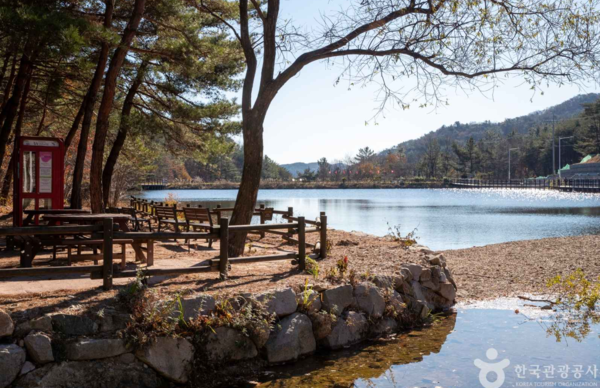 천마산 편백한림욕장: 이미지 출처 - 한국관광공사