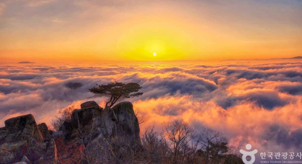 대둔산: 이미지 출처 - 한국관광공사