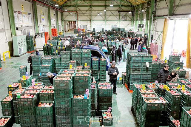 부자되는 청송농업-산지공판장 온라인시스템 도입/사진=청송군