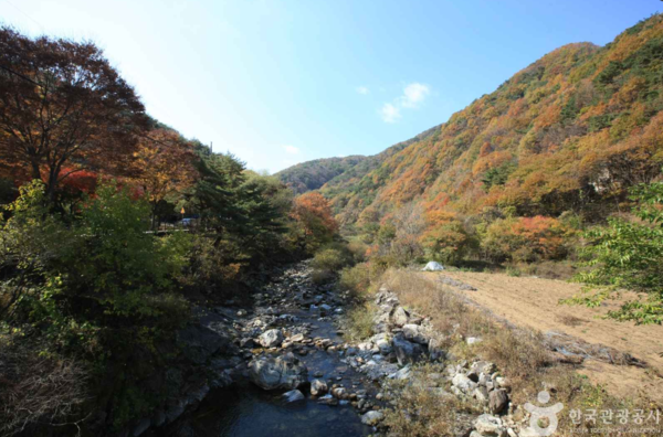 치악산: 이미지 출처 - 한국관광공사