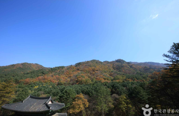 치악산: 이미지 출처 - 한국관광공사