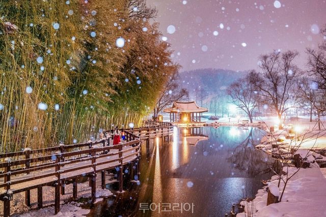 죽녹원의 겨울/사진-담양군