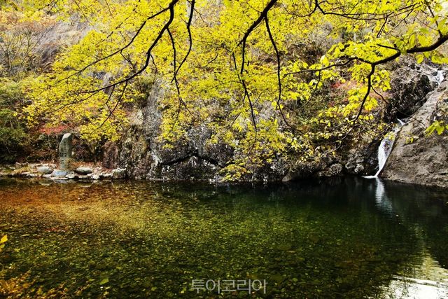 가마골생태공원/사진-담양군