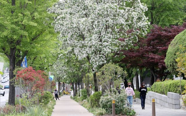 전북 전주시 도시바람길숲/사진-산림청