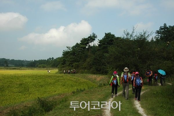 강릉의 산천과 문화를 느끼며 가벼이 걸을 수 있는 바우길