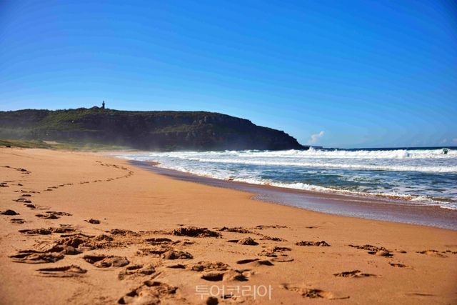 팜 비치/사진출처 -호주관광청