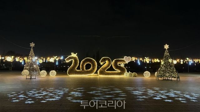 겨울 별빛 정원 전체 전경