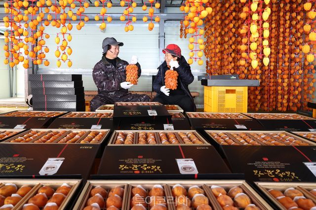 함양고종시곶감/사진-함양군