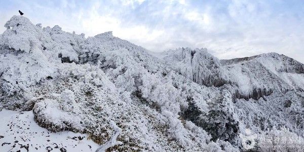 한라산 설화(ⓒ한국관광공사 포토코리아-이태인)