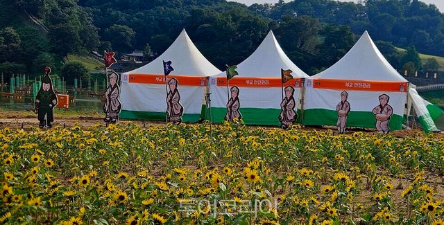 &nbsp;‘제71회 백제문화제’&nbsp;&nbsp;백제 관련 조형물