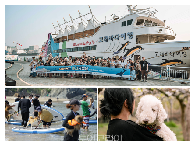 장생포 ‘고래바다여행선’ 참가자들이 단체사진을 찍고 있는 모습. 반려동물과 해변축제를 즐기는 모습, 반려동물과 배꽃 농장 생태체험 모습/사진-울산시