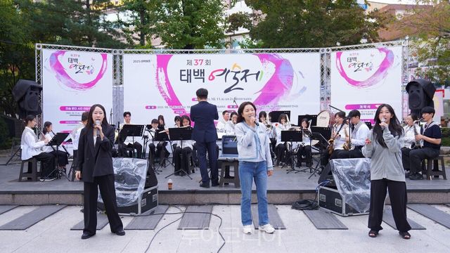 태백에술제 공연/사진=태백시
