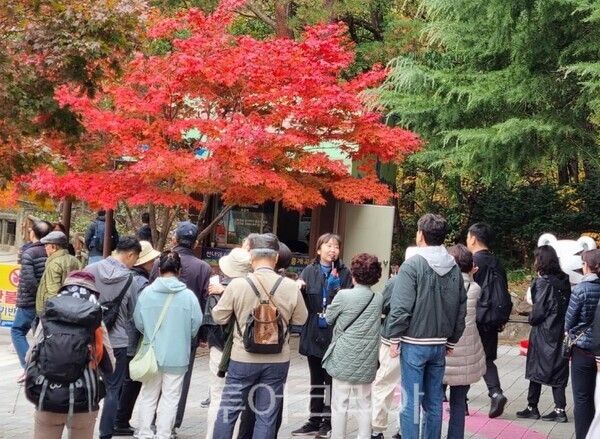 문화관광해설사 활동 현장/사진=동해시