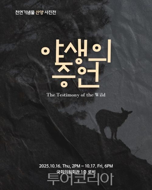 산양 특별사진전 포스터/투어코리아뉴스 김경남 기자