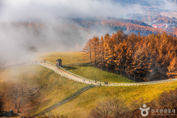 대관령 /사진-한국관광공사